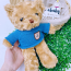 Gấu bông teddy 93430